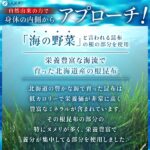 根昆布エキス粒 50日分_