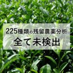 発酵黒ウーロン茶エキス顆粒 33杯分_