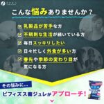 ビフィズス菌ジュレ 20本入
