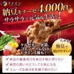 納豆キナーゼ 240粒(30日分)-