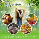 納豆キナーゼ 240粒(30日分)-