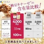 納豆キナーゼ 240粒(30日分)-