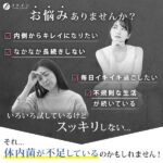 1兆個の乳酸菌 Prime 30粒