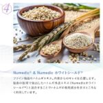 FINE オートファジーReCell 90粒