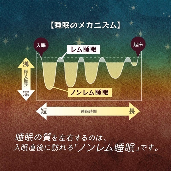 眠りの森のココア (機能性表示食品) 5包_