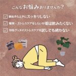 眠りの森のココア (機能性表示食品) 5包_