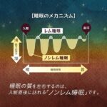 【お中元】眠りの森のココア (機能性表示食品) 5包×5箱 ギフトセット_